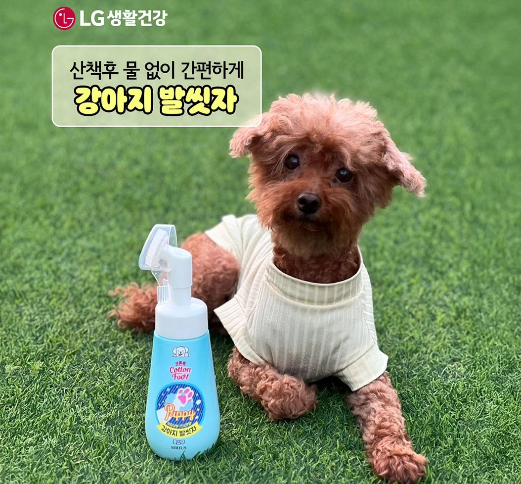 시리우스 강아지 발씻자