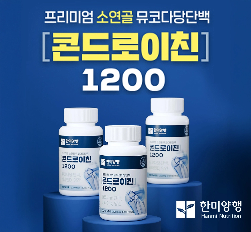 콘드로이친