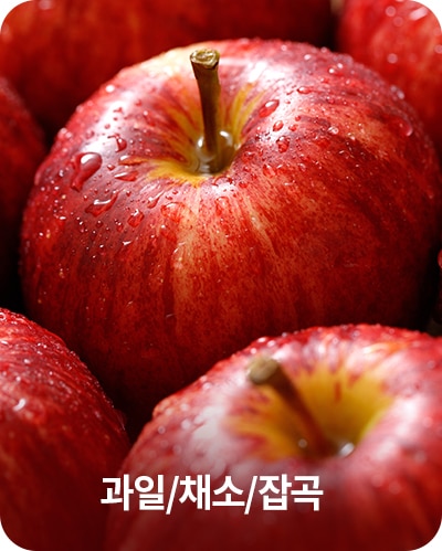 과일/채소/잡곡