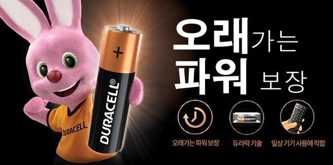 듀라셀 건전지