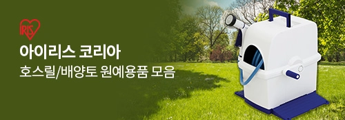 아이리스 코리아