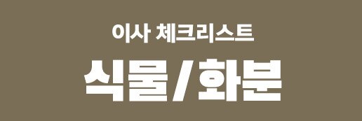 식물/화분