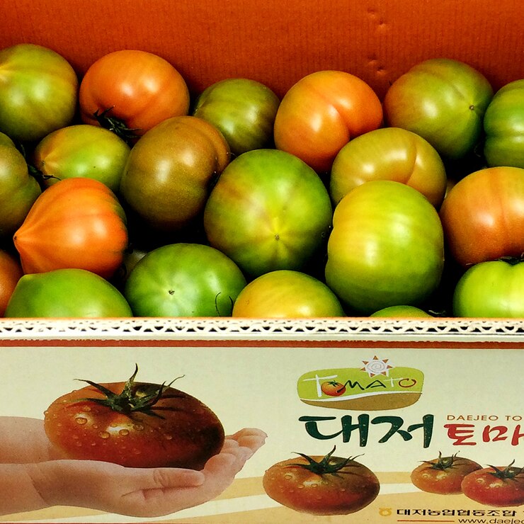 대저 토마토 5kg Costco 코리아