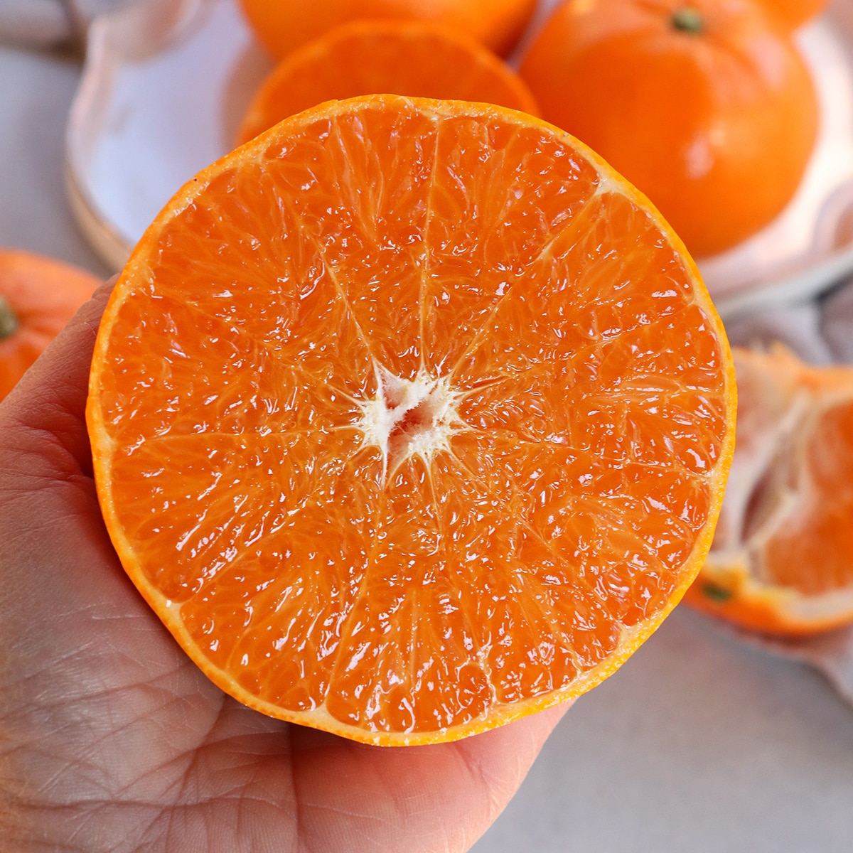 제주 천혜향 선물세트 3kg 9~12입