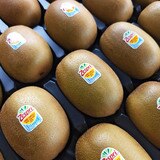뉴질랜드 제스프리 점보 골드키위 1박스 4.9kg
