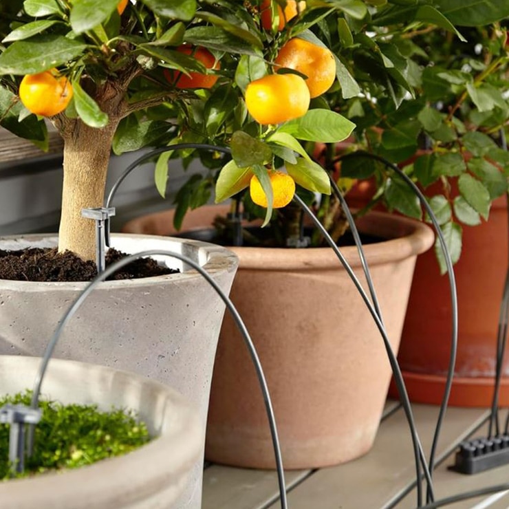 가데나 홀리데이 워터링 세트