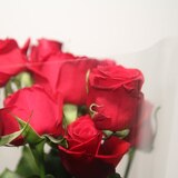 꽃다발 장미 - 레드
