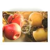 황금사과&부사세트 4kg