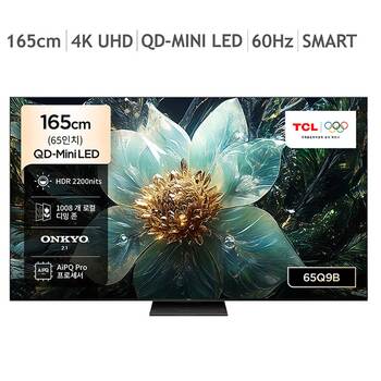 TCL QD-Mini LED TV Q9B 165cm (65), 스탠드형