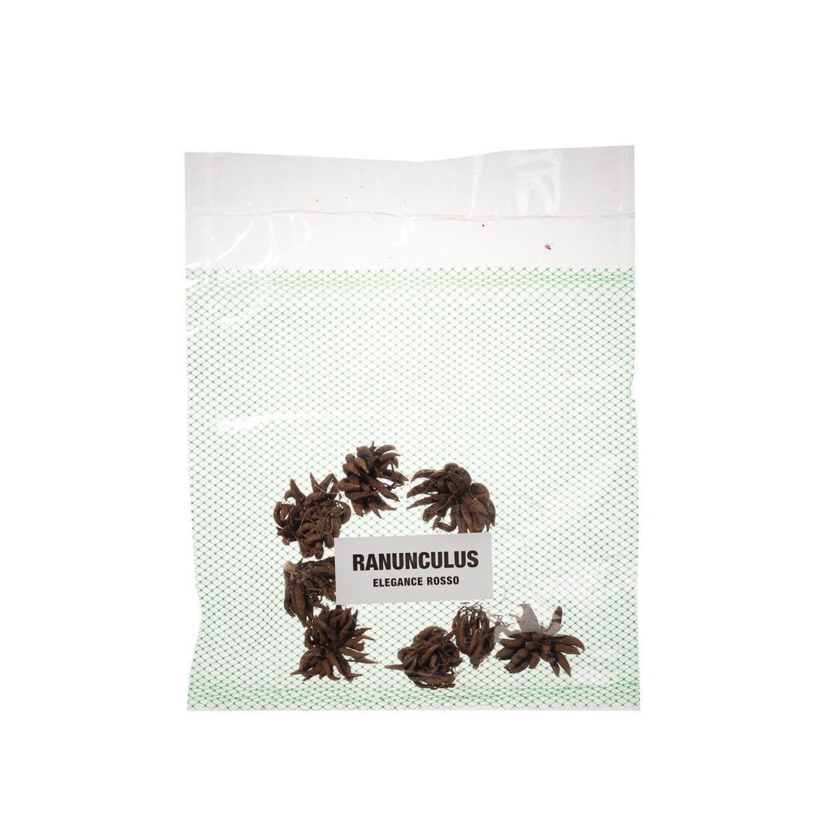 라넌큘러스 구근 / 최소구매 2 - 엘레강스 로쏘 라넌큘러스 구근 / 최소구매 2 - 엘레강스 로쏘