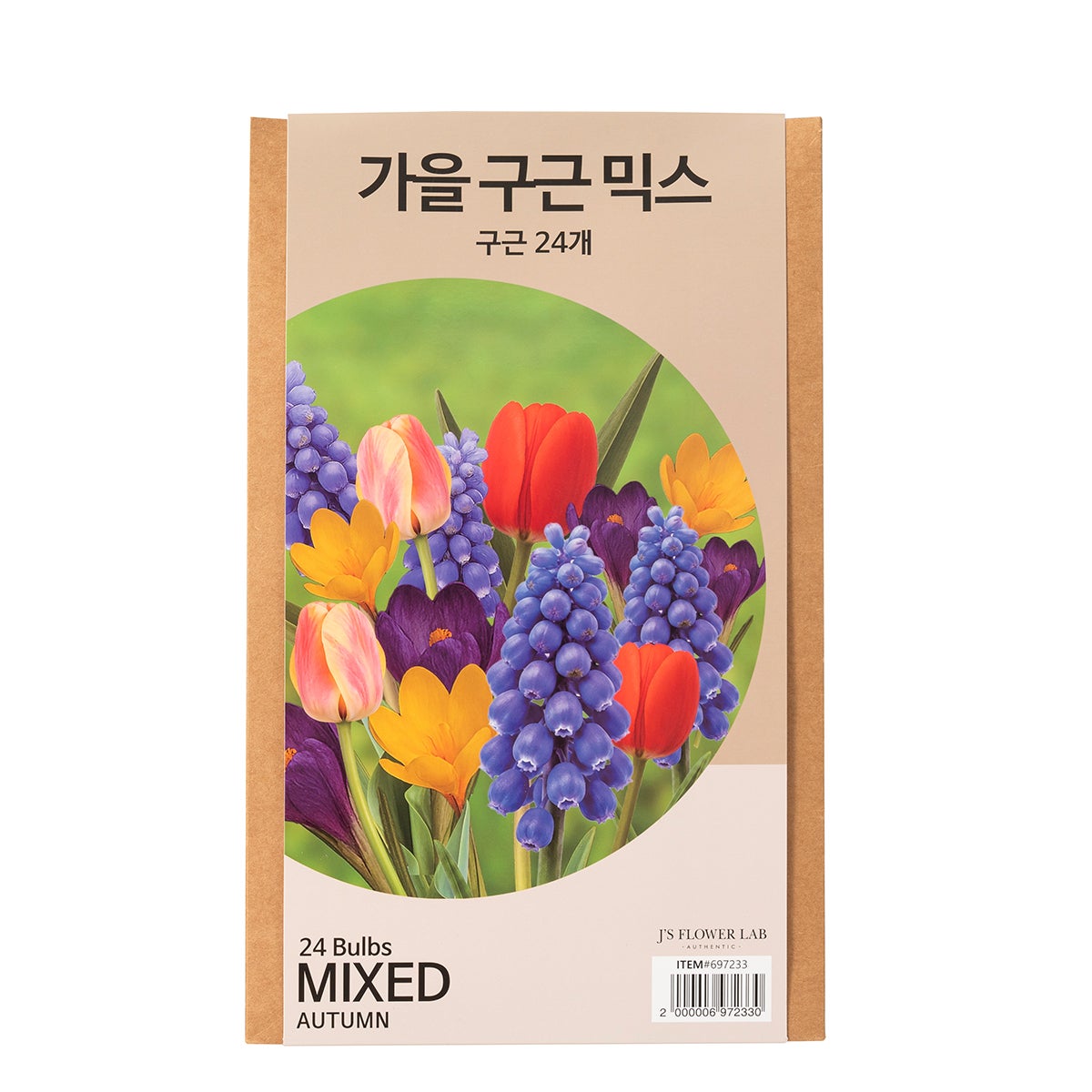 가을 믹스 구근 / 최소구매 2