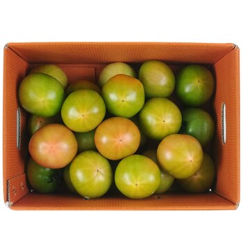 대저 토마토 5kg 대저 토마토 5kg