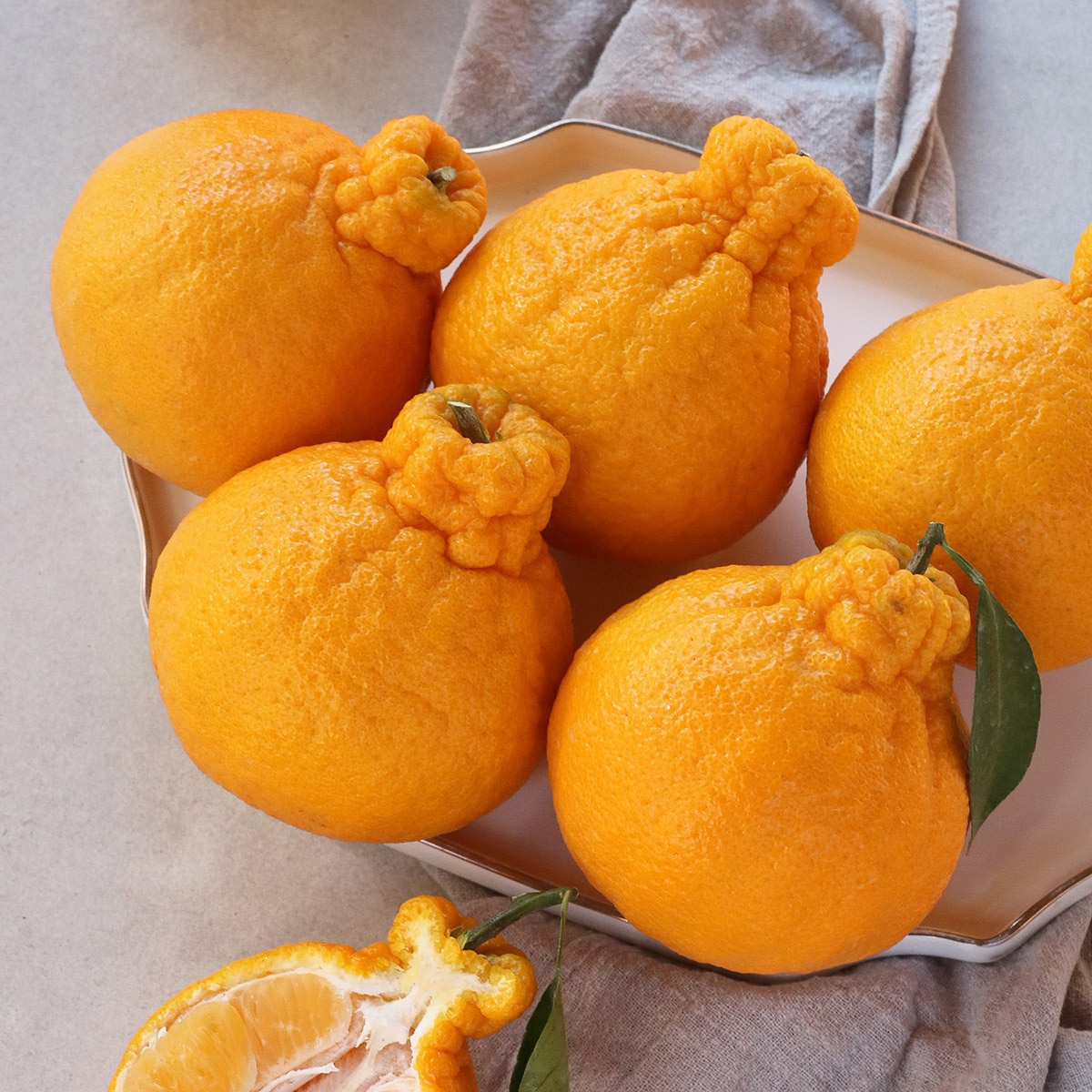 천혜향&한라봉세트5kg