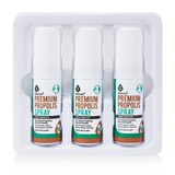 프로폴리스액 구강 스프레이(구중청량제) 15ml x 6