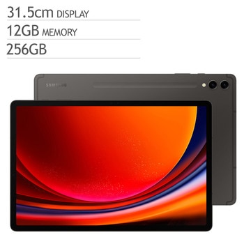 삼성 갤럭시 탭 S9+ Wi-Fi 256GB - 그라파이트
