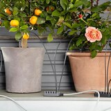 가데나 홀리데이 워터링 세트