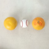 이스라엘산 레드자몽 3.5kg (한박스)