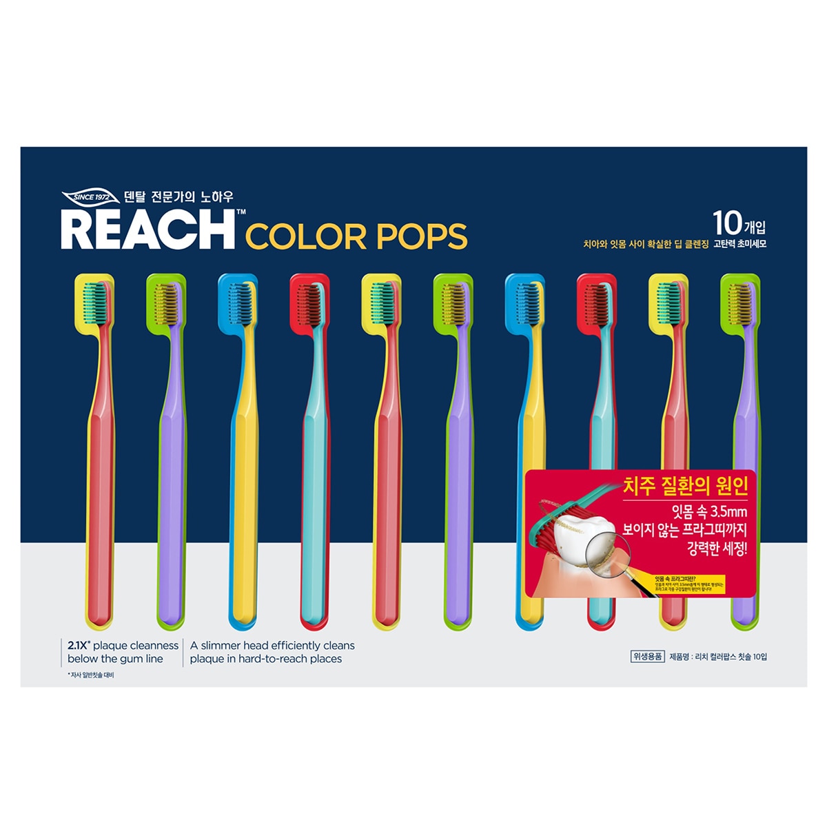 리치 컬러팝스 초미세모 칫솔 10개입