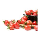 스테비아 대추방울토마토 1kg * 2팩