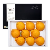 제주 한라봉 선물세트 3kg (6~9입)