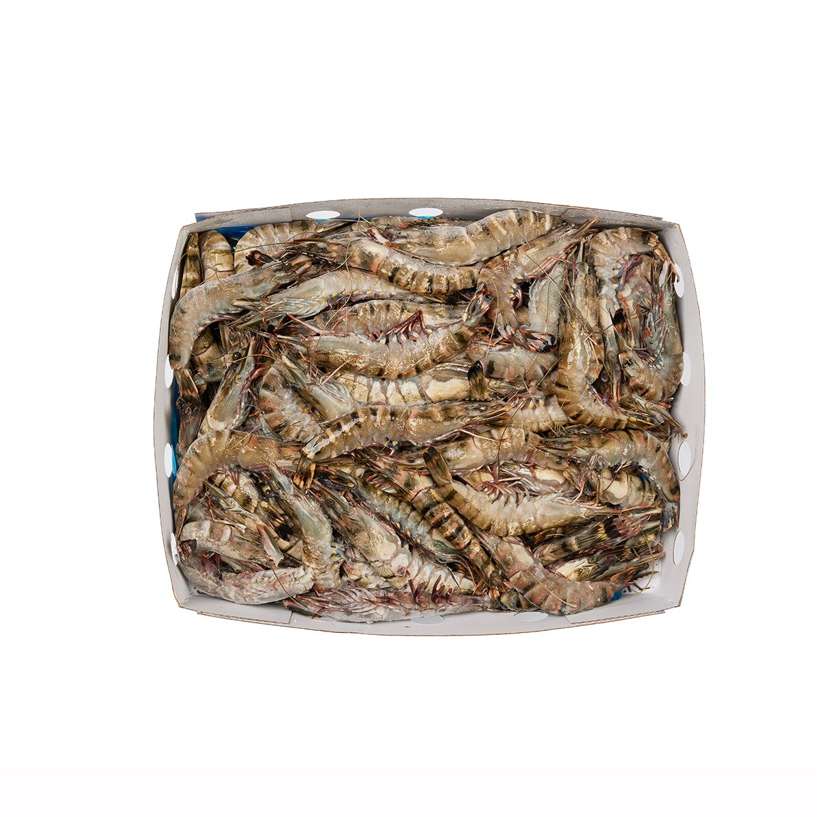 냉동 블랙타이거새우 3kg x 1box