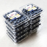 블루베리 125g x 10