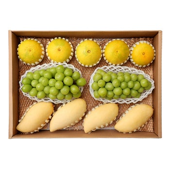 샤인머스캣&태국망고&황금향 선물세트4.2kg 샤인머스캣&태국망고&황금향 선물세트4.2kg
