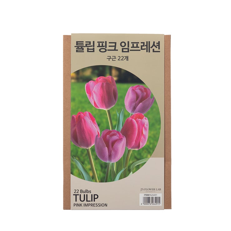 튤립 구근 / 최소구매 2 튤립 구근 / 최소구매 2