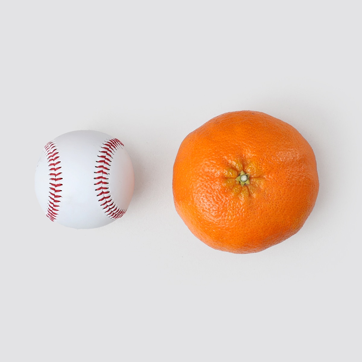 제주 레드향 선물세트 3kg 6~9입