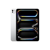 Apple 아이패드 프로 11 M4 Wifi 256GB 실버