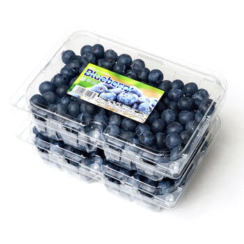 국내산 블루베리 500g x 2팩