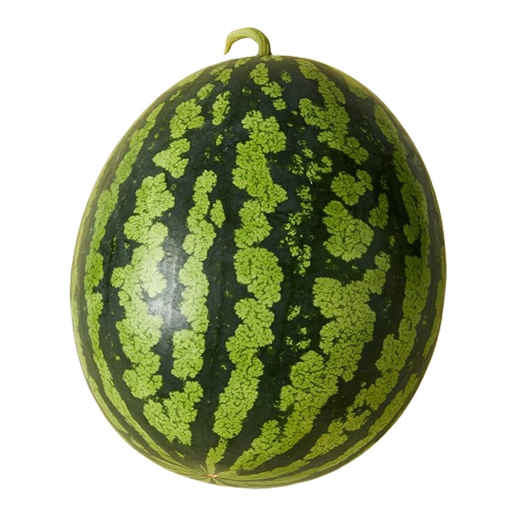 Watermelon under 7kg 684635