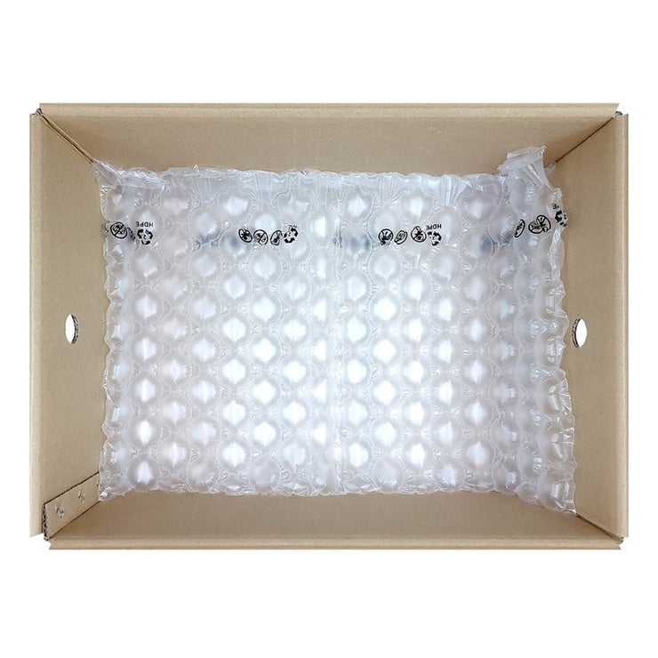 칠레 블루베리 125g x 8팩 칠레 블루베리 125g x 8팩