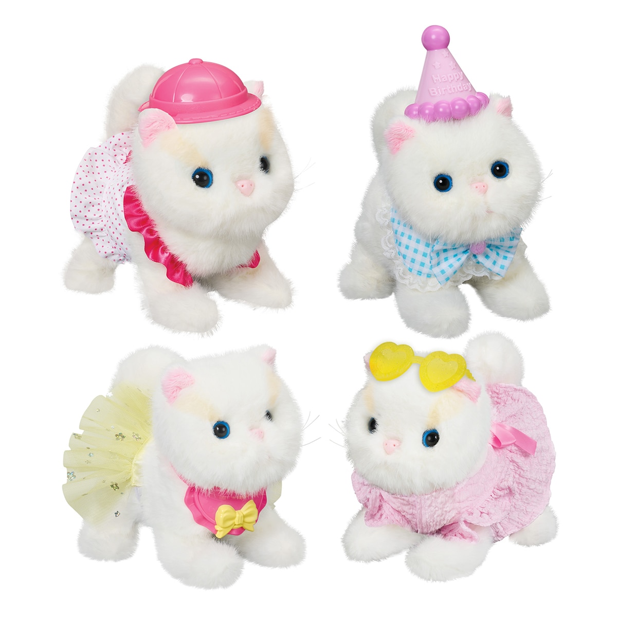 옷입는 아기고양이 냥이