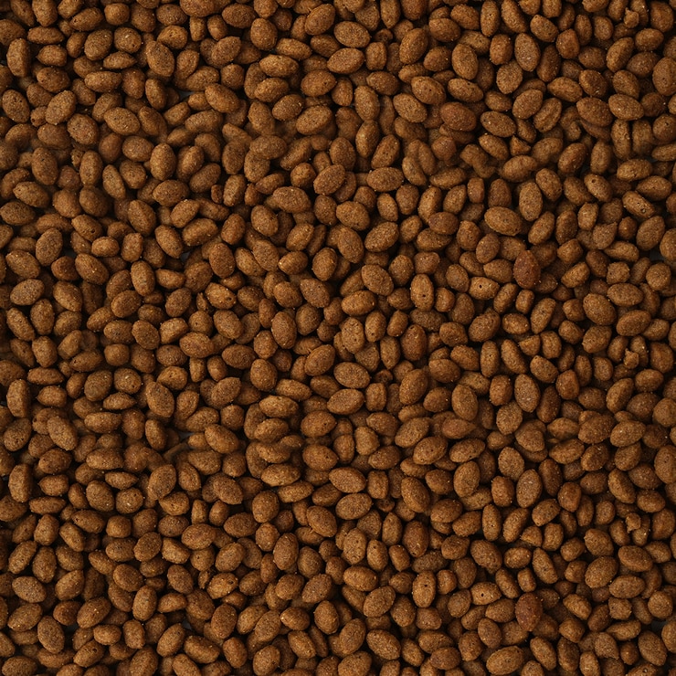 올리브 애견사료 6kg x 2 (에너지/밸런스/케어)