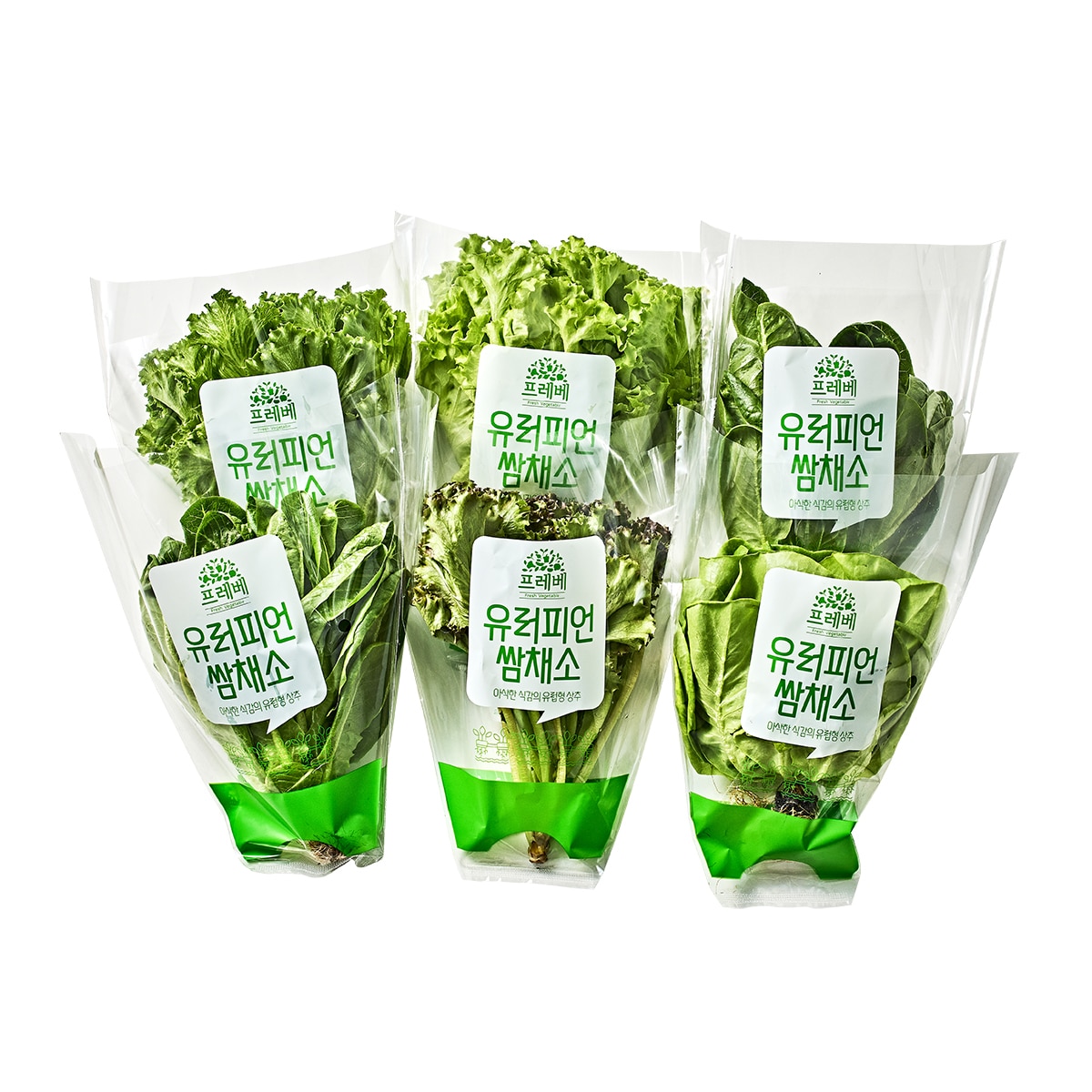 유러피언 쌈채소 5종(440g)