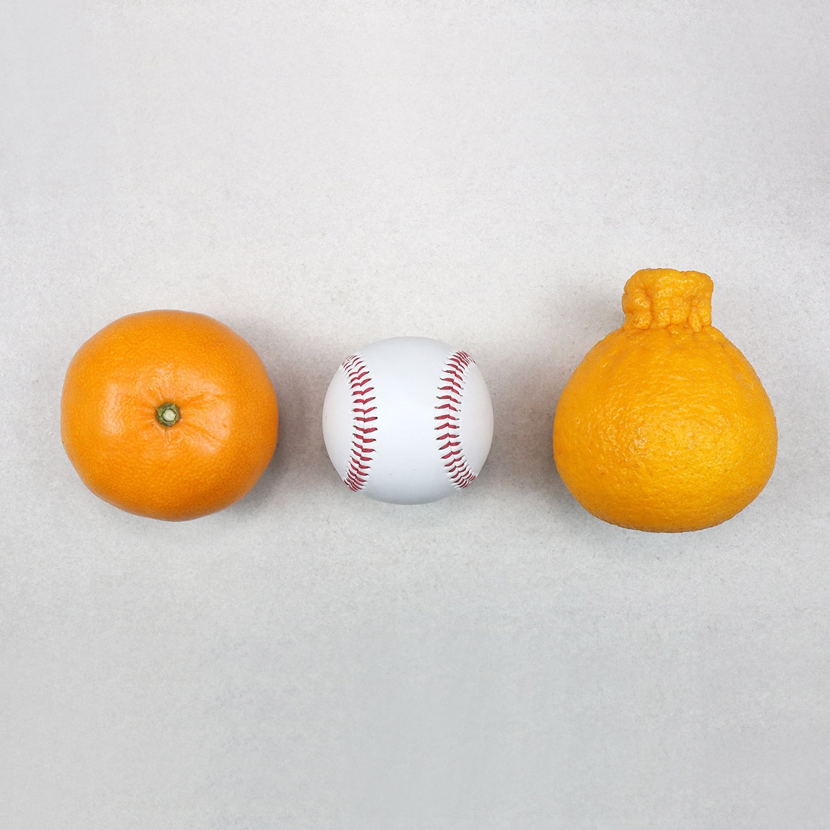 천혜향&한라봉세트5kg