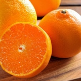 제주 천혜향선물세트 5kg(15~24입)