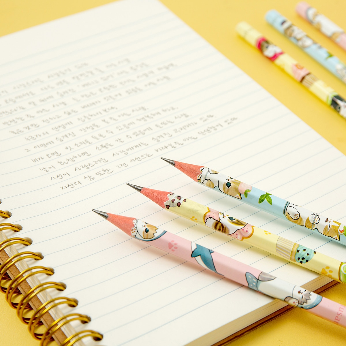 모프샌드 스위츠& 상어 연필 10개 x 10세트