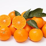 황금향 5kg (15-22입 이내) 황금향 5kg (15-22입 이내)