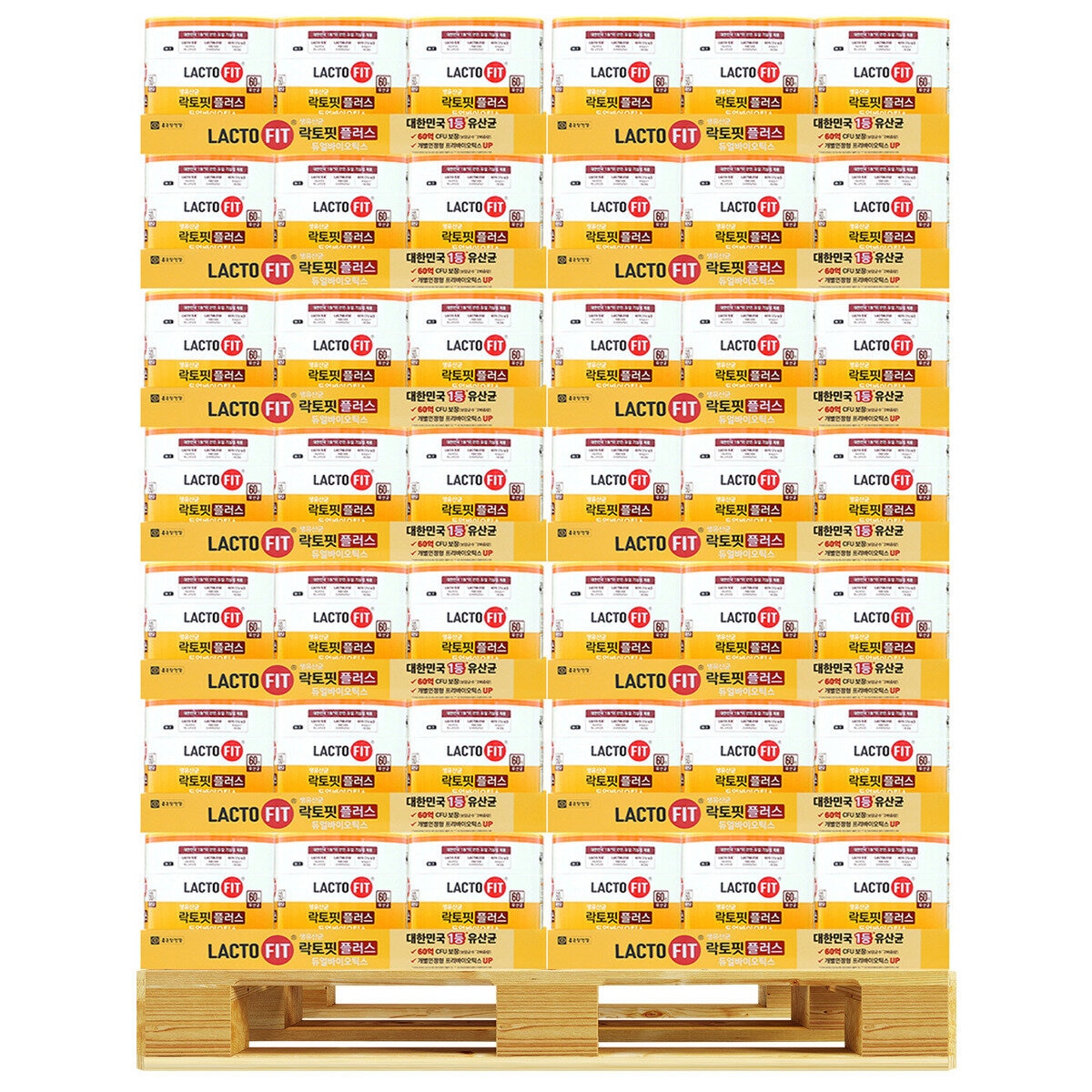 종근당건강 락토핏듀얼바이오틱스 2000mg x 200 포 x 210