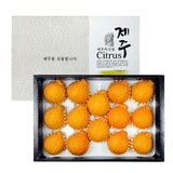 제주 한라봉선물세트 5kg(9~16입)