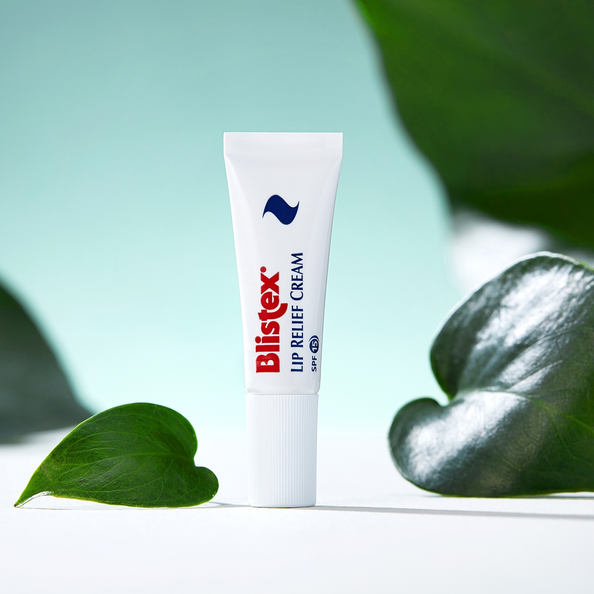 블리스텍스 립 릴리프 크림 6ml X 4ct