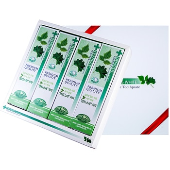 덴티스테 나이트타임 치약 선물세트