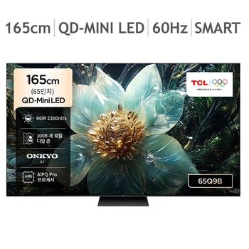 TCL QD-Mini LED TV 165cm (65), 스탠드형