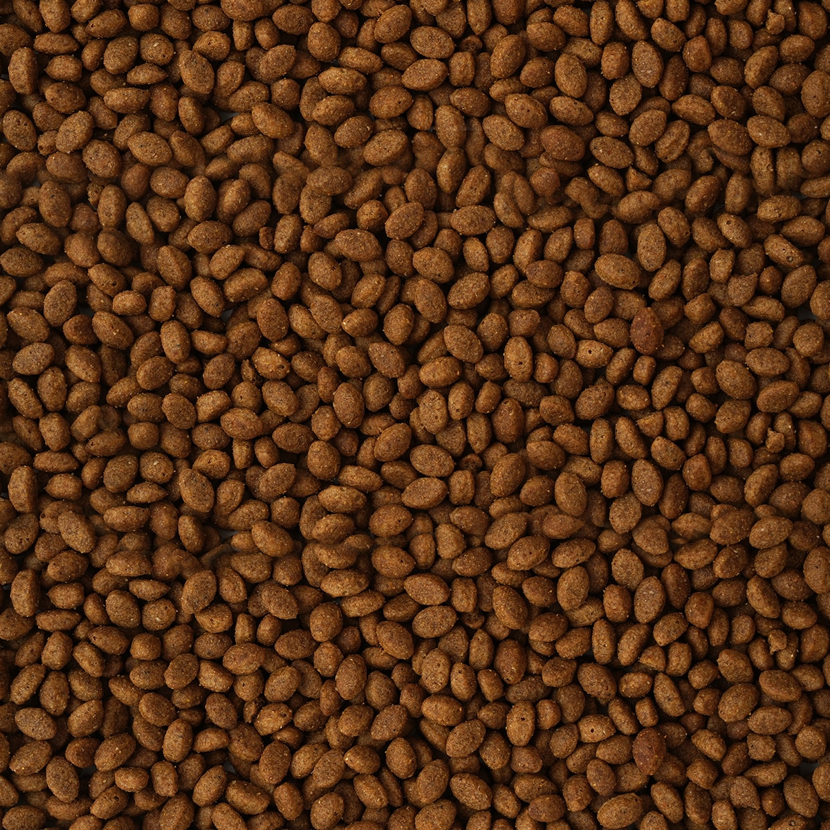 올리브 애견사료 1.8kg x 2 (에너지/밸런스/케어)
