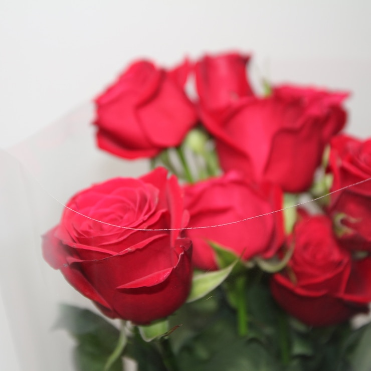 꽃다발 장미 - 레드
