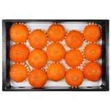 제주 레드향 선물세트5kg(10~18입)