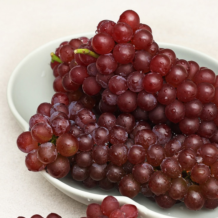 델라웨어 포도 1kg 델라웨어 포도 1kg