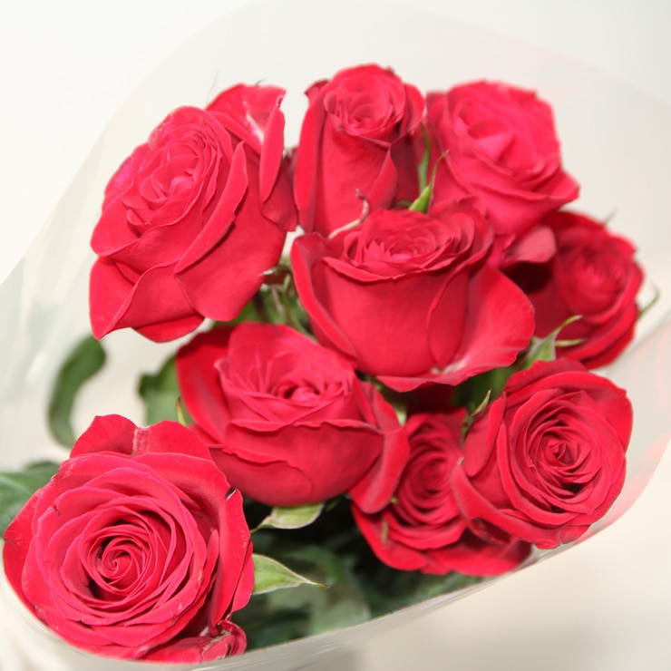 꽃다발 장미 - 레드